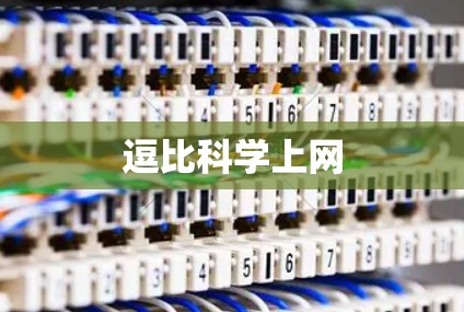 逗比<strong>科学上网</strong>