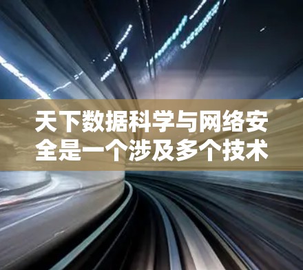 天下数据科学与网络安全是一个涉及多个技术和实践领域的话题,以下是对其核心概念的详细解释