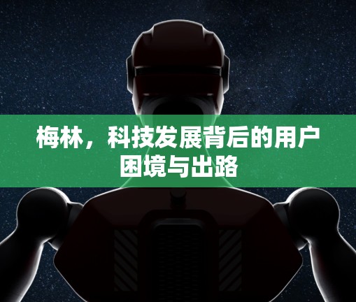 梅林，科技发展背后的用户困境与出路