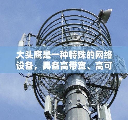 大头鹰是一种特殊的网络设备，具备高带宽、高可靠性等特性，广泛应用于企业、家庭和移动网络中。以下是大头鹰的详细学习计划