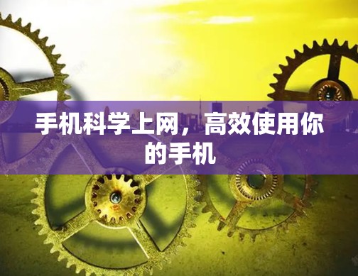 手机科学上网,高效使用你的手机