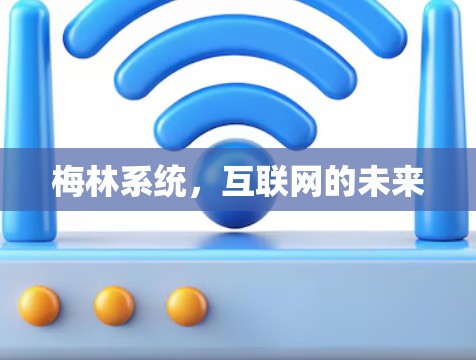 梅林系统,互联网的未来