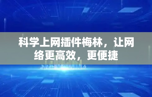 科学上网插件梅林，让网络更高效，更便捷