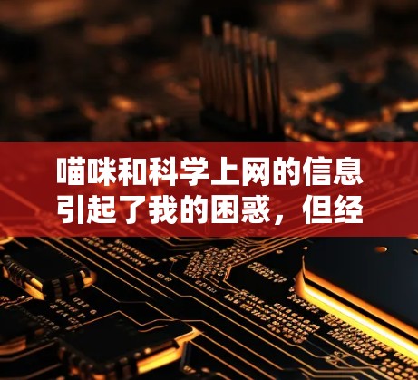 喵咪和科学上网的信息引起了我的困惑，但经过仔细思考，我得出以下结论