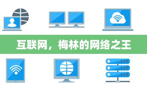 互联网，梅林的网络之王