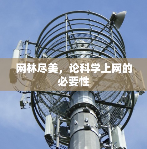 网林尽美，论科学上网的必要性