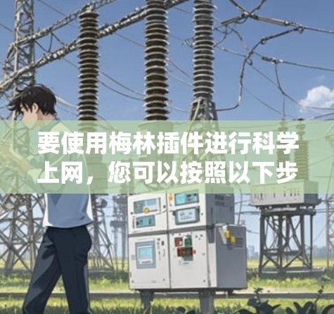 要使用梅林插件进行科学上网,您可以按照以下步骤进行操作