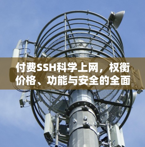 付费SSH科学上网,权衡价格、功能与安全的全面分析 付费SSH科学上网,权衡价格、功能与安全的全面分析