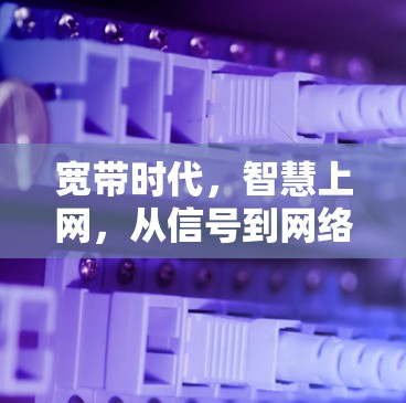 宽带时代，智慧上网，从信号到网络，智慧生活的新维度