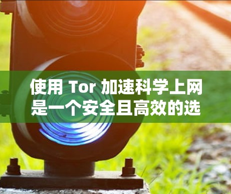 使用 Tor 加速科学上网是一个安全且高效的选择，以下是对该过程的分步说明