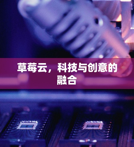 草莓云,科技与创意的融合