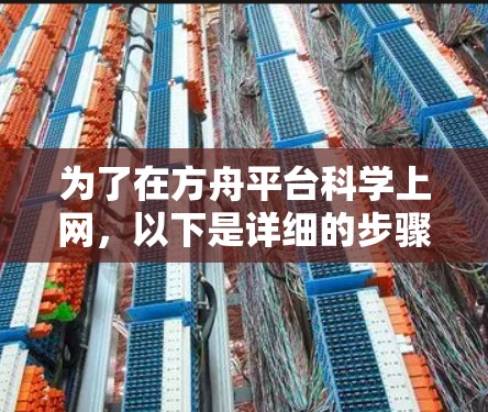 为了在方舟平台科学上网,以下是详细的步骤和建议