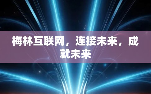 梅林互联网，连接未来，成就未来