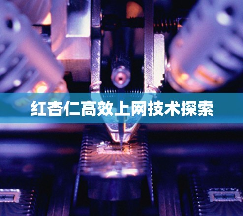红杏仁高效上网技术探索