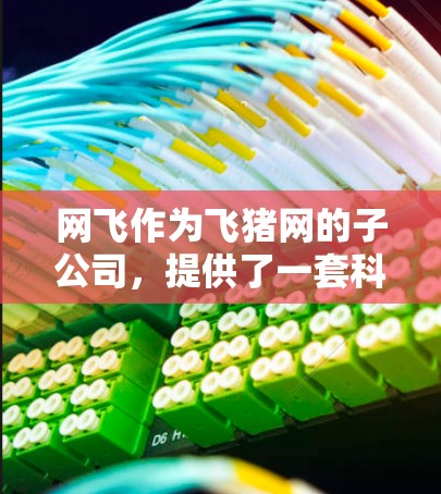 网飞作为飞猪网的子公司，提供了一套科学的互联网解决方案，包括网飞云服务。以下是详细的步骤和信息，帮助你科学上网