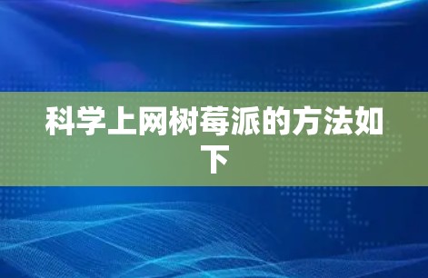 科学上网树莓派的方法如下