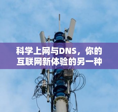 <strong>科学上网</strong>与DNS,你的互联网新体验的另一种挑战