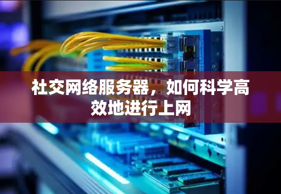 社交网络服务器,如何科学高效地进行上网 社交网络服务器,如何科学高效地进行上网