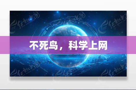 不死鸟,<strong>科学上网</strong>
