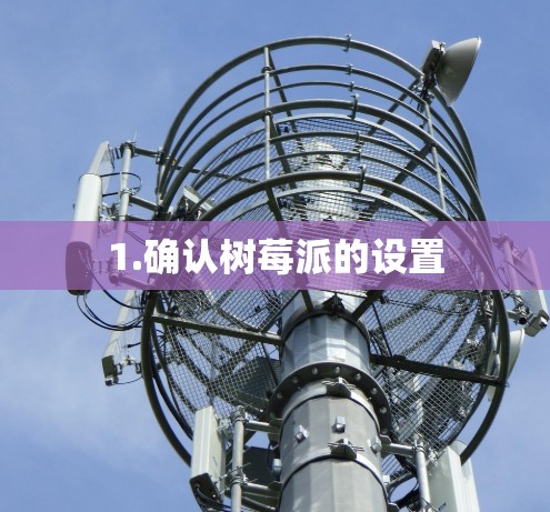 1.确认树莓派的设置