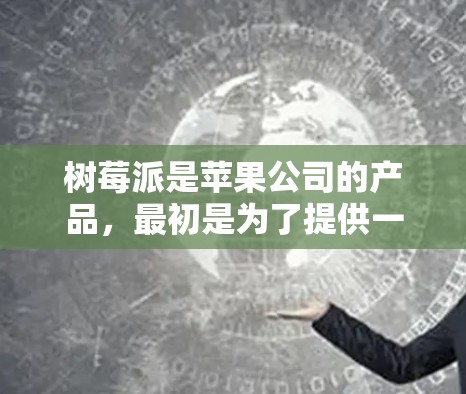 树莓派是苹果公司的产品，最初是为了提供一个可编程的电子设备，通常用于测试和编程。它没有内置的网络管理功能，因此它不能直接支持上网。但你可以在树莓派上运行一些软件来模拟或代理上网服务