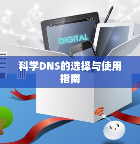 科学DNS的选择与使用指南