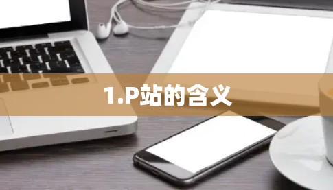 1.P站的含义