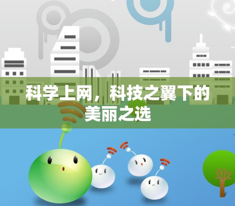 <strong>科学上网</strong>,科技之翼下的美丽之选