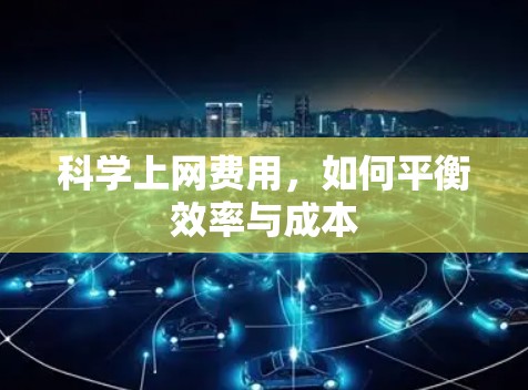 <strong>科学上网</strong>费用,如何平衡效率与成本