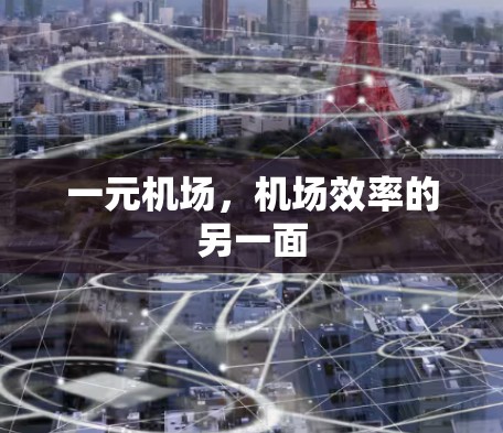 一元机场,机场效率的另一面