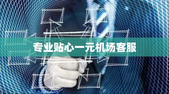 专业贴心一元机场客服