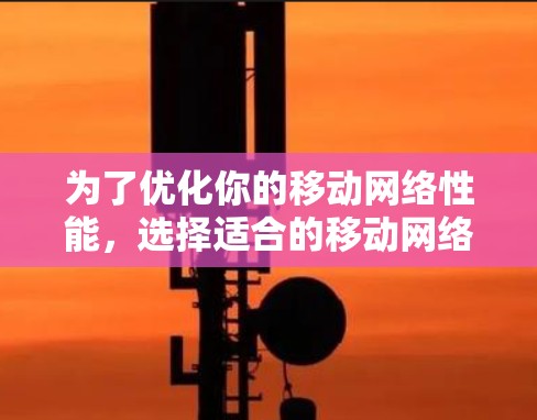 为了优化你的移动网络性能,选择适合的移动网络优化工具至关重要。以下是一步步的指南,帮助你找到合适的工具