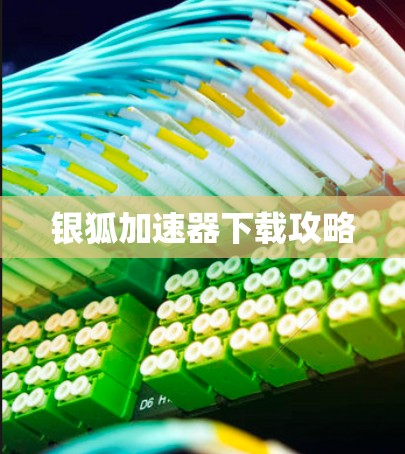 银狐加速器下载攻略 银狐加速器下载攻略