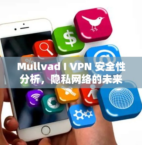 Mullvad I VPN 安全性分析,隐私网络的未来选择 Mullvad I VPN 安全性分析,隐私网络的未来选择