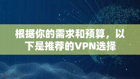 根据你的需求和预算,以下是推荐的VPN选择 根据你的需求和预算,以下是推荐的VPN选择