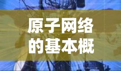 原子网络的基本概念