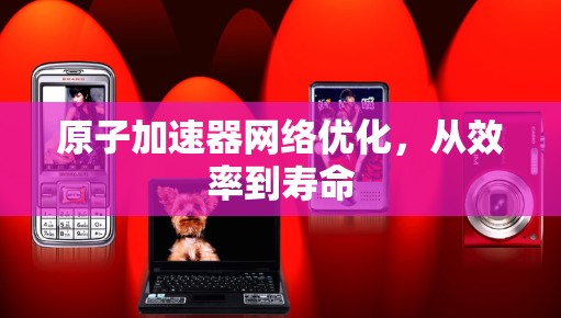 原子加速器网络优化,从效率到寿命