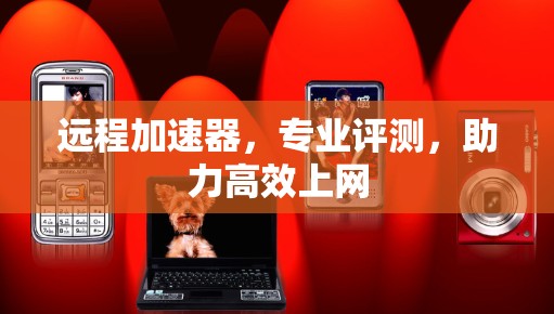 远程加速器，专业评测，助力高效上网