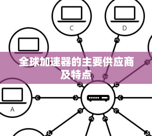 全球加速器的主要供应商及特点