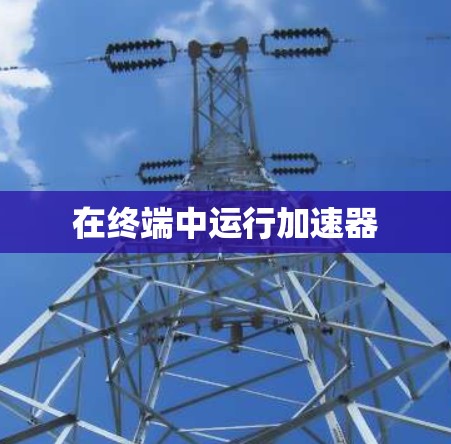 在终端中运行加速器 在终端中运行加速器