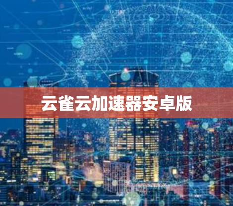 云雀云加速器安卓版