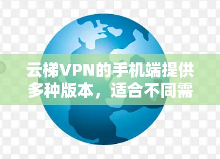 云梯VPN的手机端提供多种版本，适合不同需求的用户。以下是常见的云梯VPN手机端的版本及其使用指南