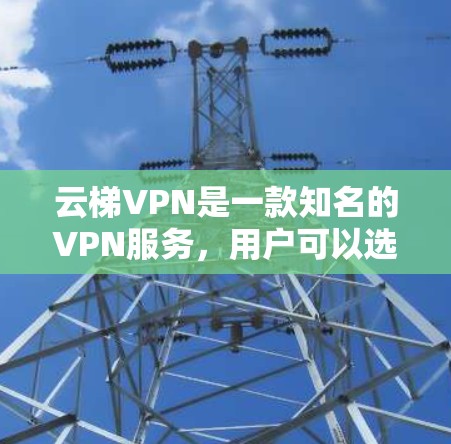 云梯VPN是一款知名的VPN服务,用户可以选择不同的版本来享受不同的功能和体验。以下是云梯VPN的几个主要版本及其特点 云梯VPN是一款知名的VPN服务,用户可以选择不同的版本来享受不同的功能和体验。以下是云梯VPN的几个主要版本及其特点