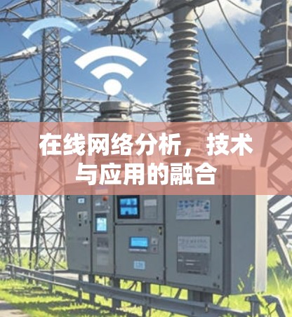 在线网络分析,技术与应用的融合