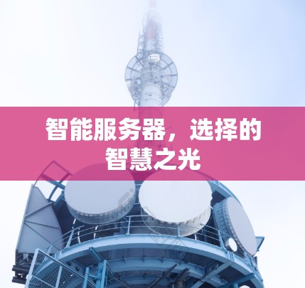 智能服务器,选择的智慧之光