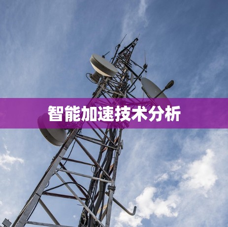 智能加速技术分析