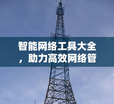 智能网络工具大全，助力高效网络管理
