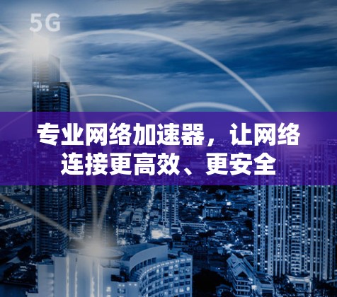专业网络加速器，让网络连接更高效、更安全
