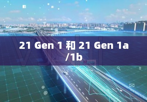 21 Gen 1 和 21 Gen 1a/1b