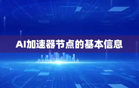 AI加速器节点的基本信息